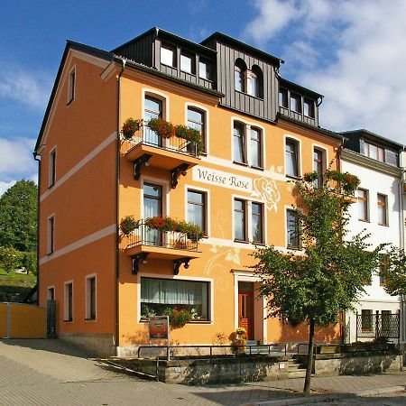 Pension Weisse Rose, Parkplatz, Fruehstueck, Wlan, Zentral Bad Elster Kültér fotó