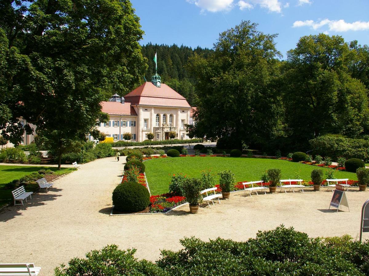 Pension Weisse Rose, Parkplatz, Fruehstueck, Wlan, Zentral Bad Elster Kültér fotó